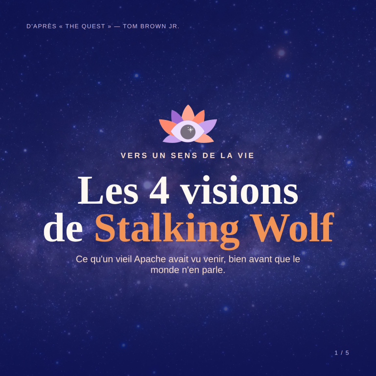 Les 4 visions de Stalking Wolf
